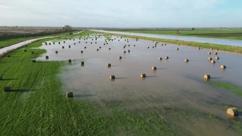 Flooded Floodplain, UK Stock Footage 260409803