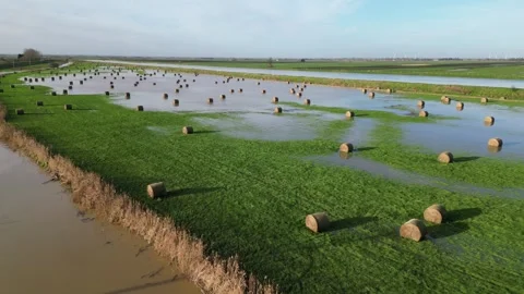 Flooded Floodplain, UK Stock Footage 260409908
