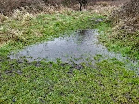 Flooded footpath in winter Stock Photos