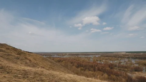 Flooded forest. Flood the river in the spring. State of emergency Stock Footage 94961973