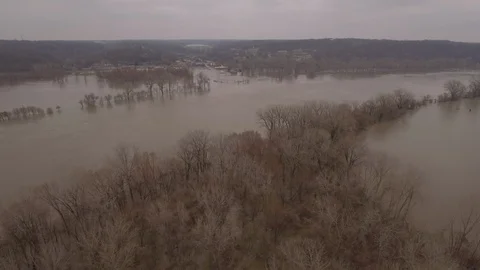 Flooded forest Stock Footage 105423377