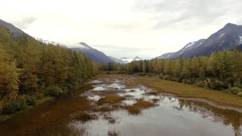 Flooded forest glade in Chugach State Park, Alaska Stock Footage 219630661
