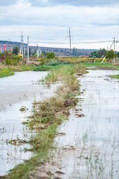 Flooded forest streams, from rainfall or snowmelt, disperse seeds, rejuvenate Stock Photos