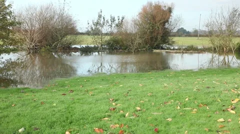 Flooded garden Stock Footage 45159178