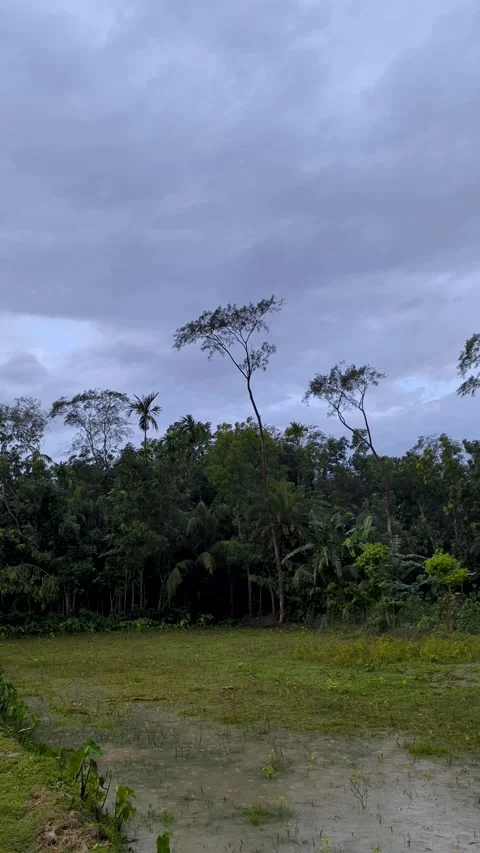 Flooded green field under a dramatic, overcast monsoon stormy sky Video stock 336919230