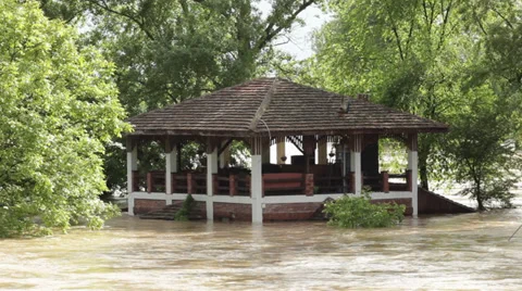 Flooded house after big storm and floods. Peacock on the roof. Flood river.Bird. Video stock 39011353