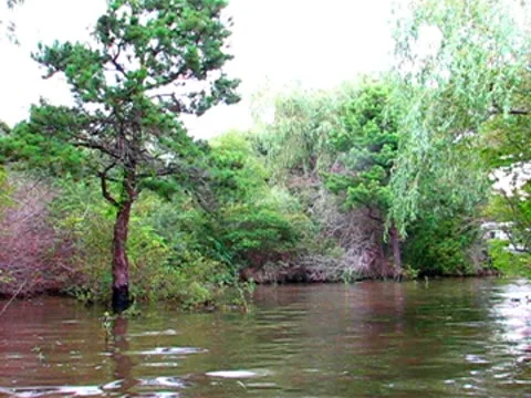 Flooded kayak passage Stock Footage 8993724