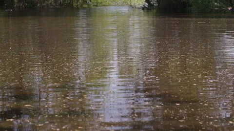 Flooded Lake Stock-Footage 39481692