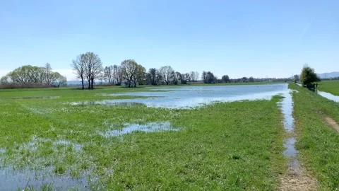 Flooded land Stock Footage 237618239
