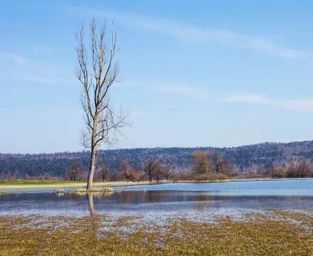 Flooded land Stock-Fotos