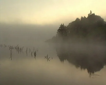 Flooded landscape Video stock 605822