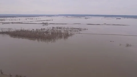 Flooded landscape Stock Footage 105424192