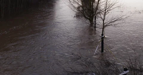 Flooded meadow Stock Footage 259729268