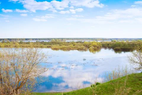 Flooded meadow Stock Photos