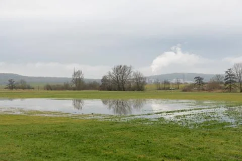 Flooded meadow Stock Photos
