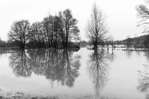 Flooded meadow Stock Photos
