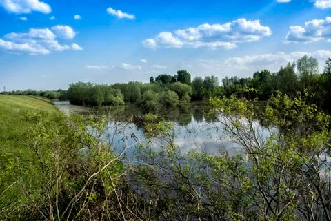 Flooded meadow Stock Photos