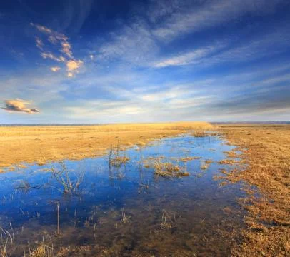 Flooded meadow in spring time Stock Photos