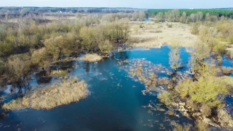 Flooded Meadows and Fields, Swamp Landscape, Aerial View Video stock 272322064