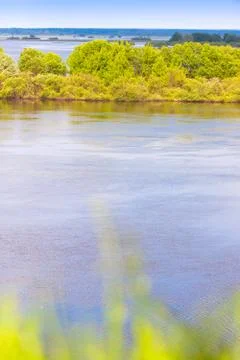 Flooded meadows in the spring Stock Photos
