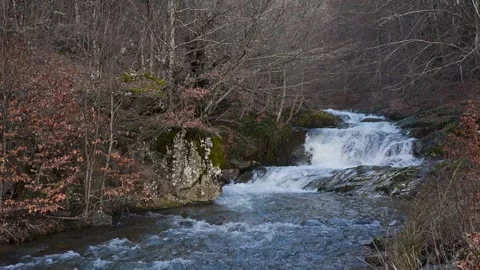 Flooded mountain river Stock Footage 329103099