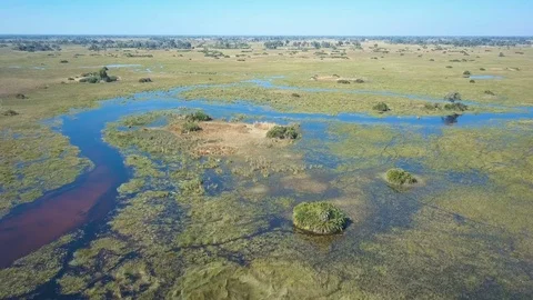 Flooded oxbow bend round palm island in the Okavango Delta in flood Stock Footage 80866431