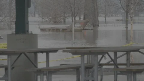 Flooded park Stock Footage 105425014