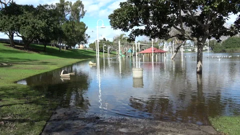 Flooded Park Stock Footage 265338239