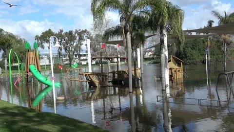 Flooded Park Stock Footage 265340862