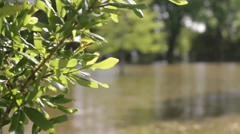 Flooded parking lot Stock Footage 39481779
