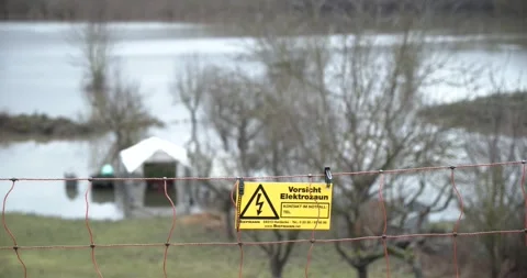 Flooded pasture with sheep pan left 動画素材 147751902