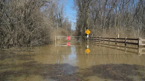 Flooded path Stock-Footage 1106832