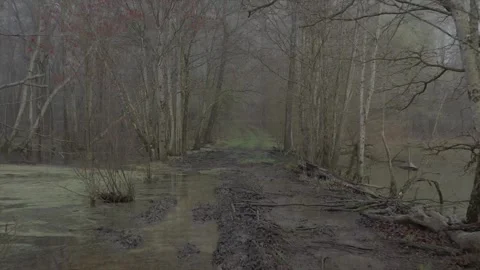 Flooded Path Next to a Pond Adjacent to a River Flooding Due to Severe Weather Stock Footage 151233066