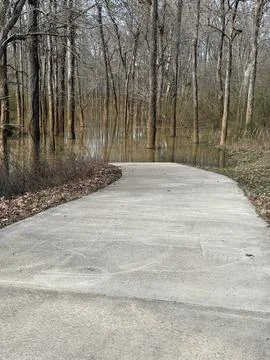 Flooded Path Stock Photos