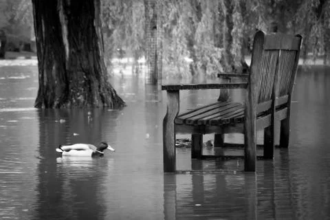 Flooded Picnic Bench Stock Photos