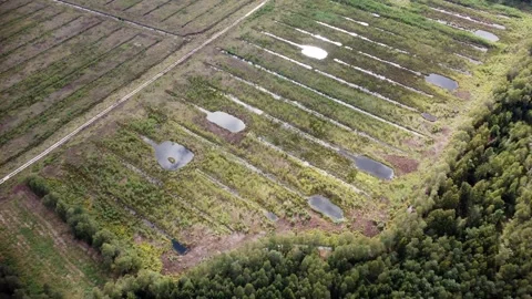 Flooded pits after peat extraction. Rest... | Stock Video | Pond5
