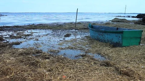 The flooded place Stock Footage 74964917