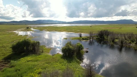 Flooded plain in Pećane, Croatia - Frontal travelling - Aerial 4K Stock Footage 245837382