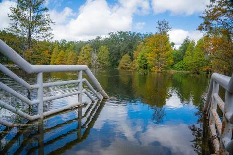 Flooded Railing Stock Photos