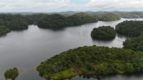 Flooded rainforest islands seen from drone. Stock Photos