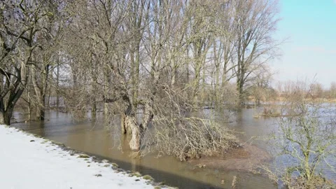 The flooded Rhine in Germany Stock Footage 148174255