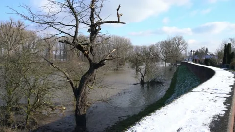 The flooded Rhine in Germany, Stock Footage 148175325