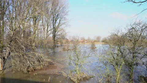 The flooded Rhine in Germany, Ship in the background Stock Footage
