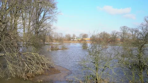 The flooded Rhine in Germany, Ship in the background Stock Footage 148174982