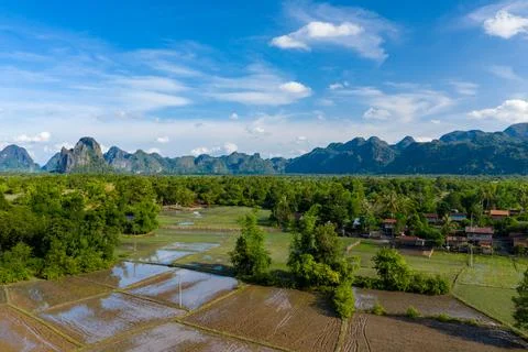 Flooded rice fields and distant karst mountains 스톡 사진