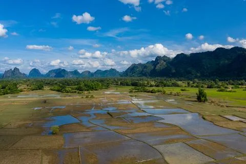 Flooded rice fields and limestone mountains in Laos 写真素材