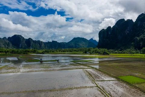 Flooded rice fields beneath karst mountains, Vang Vieng Stock Photos