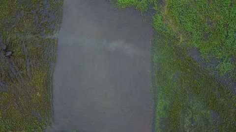 Flooded Rice Fields Hoi An, Vietnam 17 Stock Footage 148187143
