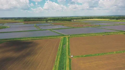 Flooded Rice Fields at Large Cultivated Plain, Plantations prepared for new Rice Stock Footage 223761492