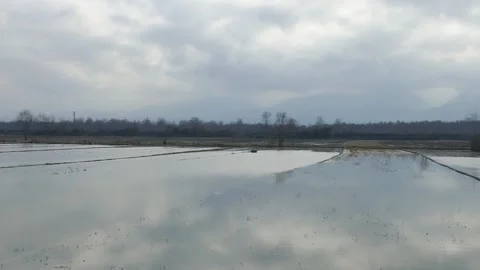 Flooded rice fields reflecting the cloudy sky with distant mountains in haze Stock Footage 318684641
